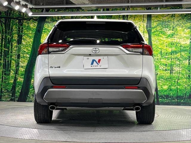 Toyota RAV4 |2019 |2000cc |Pearl