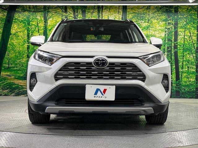 Toyota RAV4 |2019 |2000cc |Pearl