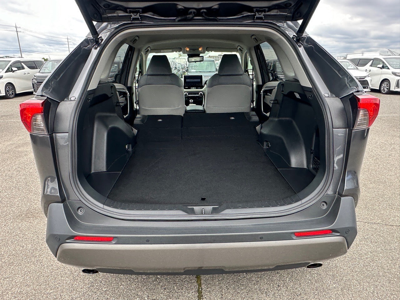 Toyota RAV4 |2019 |2000cc |Pearl