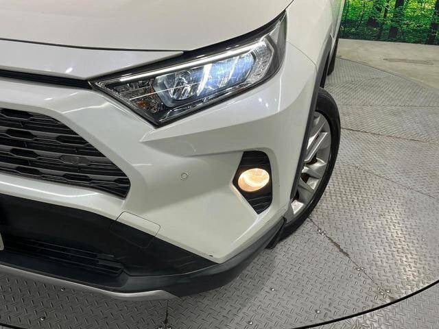 Toyota RAV4 |2019 |2000cc |Pearl