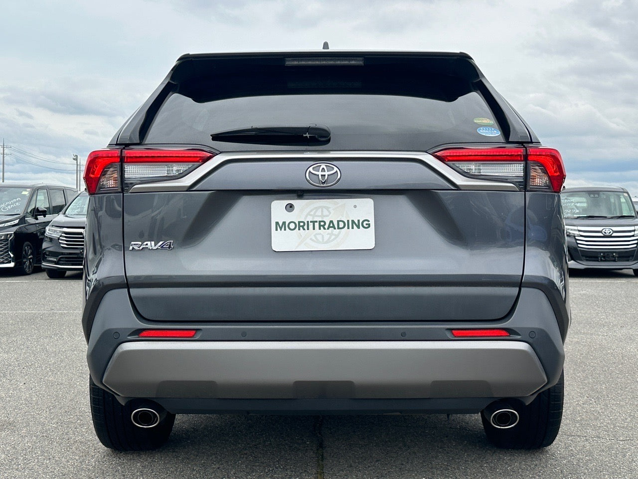 Toyota RAV4 |2019 |2000cc |Pearl