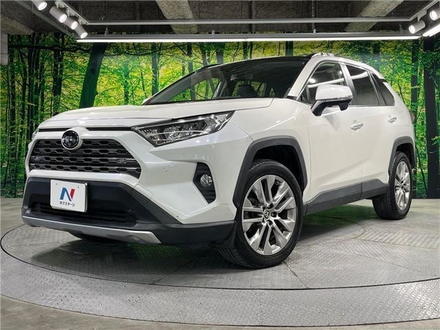 Toyota RAV4 |2019 |2000cc |Pearl
