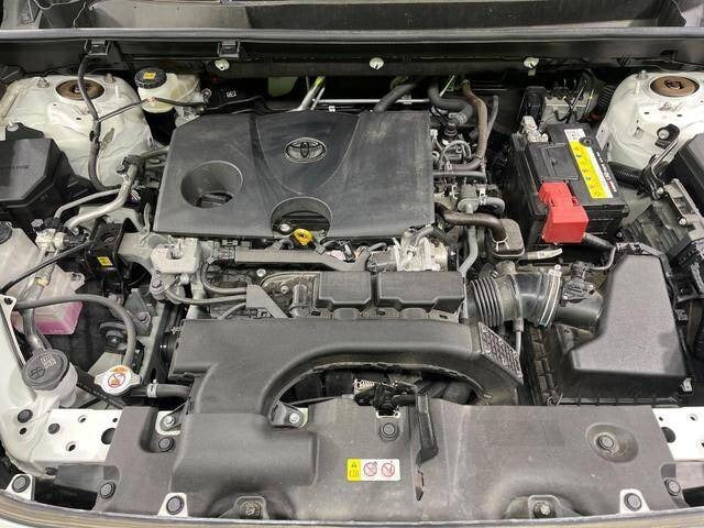 Toyota RAV4 |2019 |2000cc |Pearl