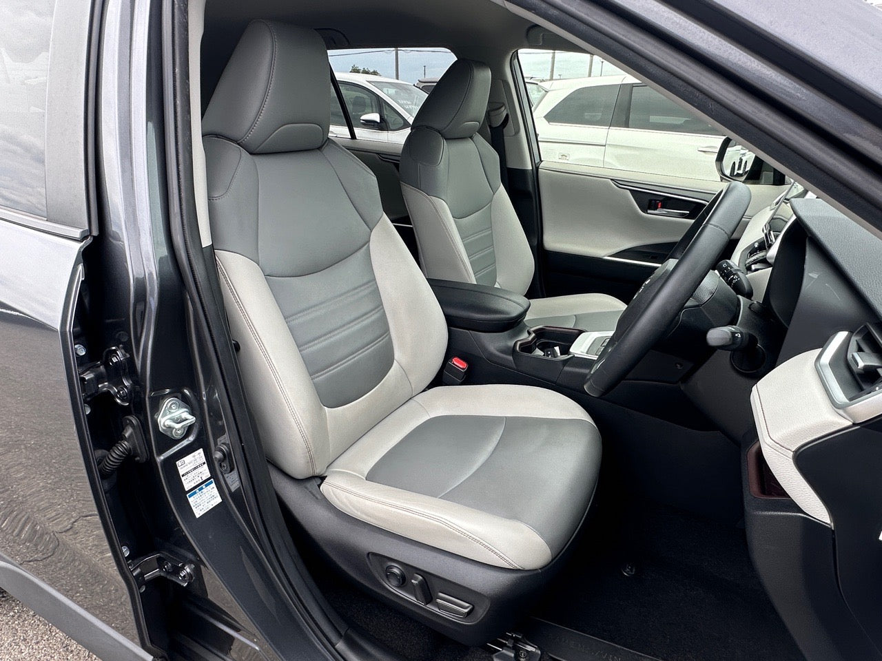Toyota RAV4 |2019 |2000cc |Pearl