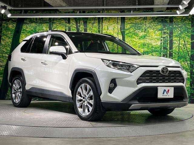 Toyota RAV4 |2019 |2000cc |Pearl