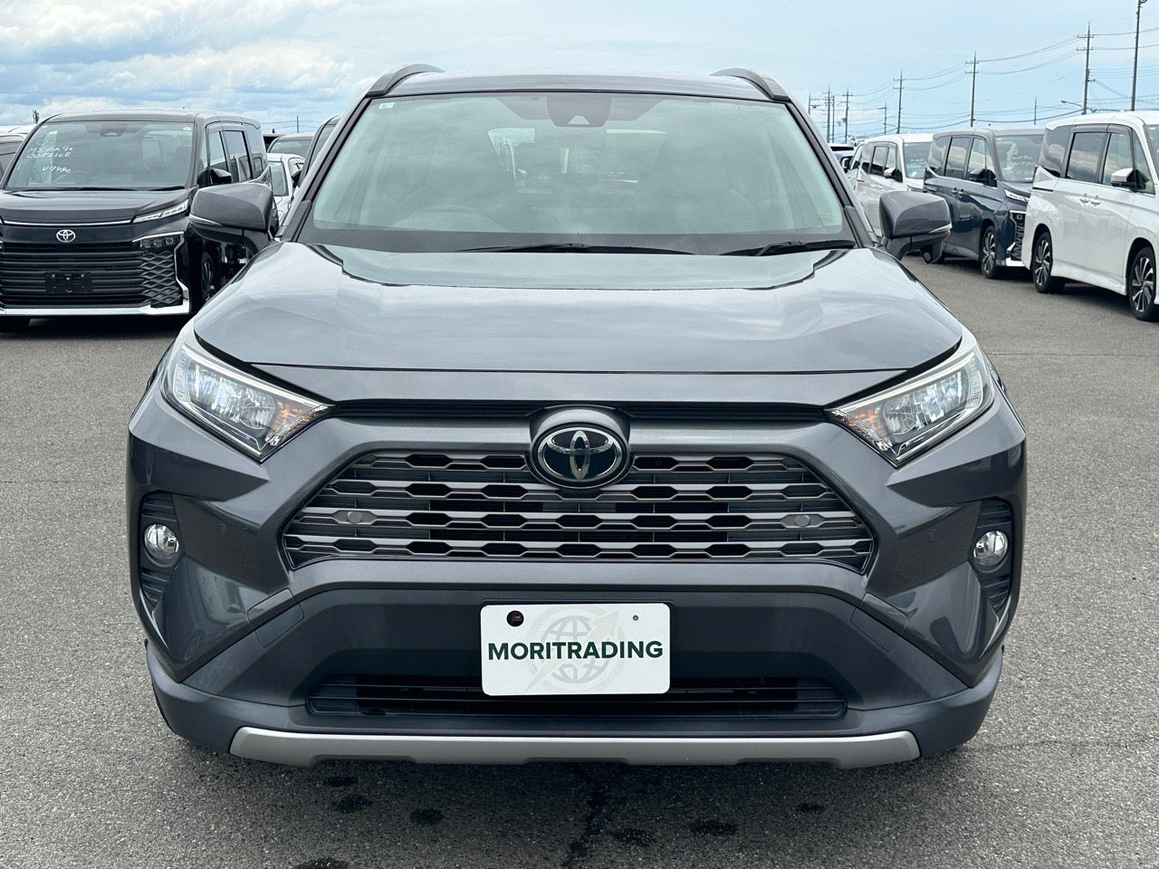 Toyota RAV4 |2019 |2000cc |Pearl