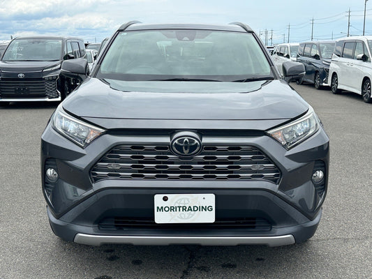 Toyota RAV4 |2019 |2000cc |Pearl