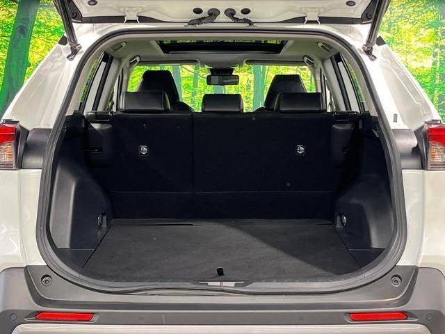 Toyota RAV4 |2019 |2000cc |Pearl
