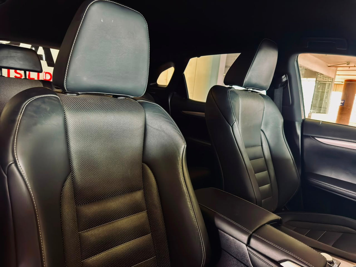 Lexus RX 300 F Sport | 2019 | 2000cc | Pearl