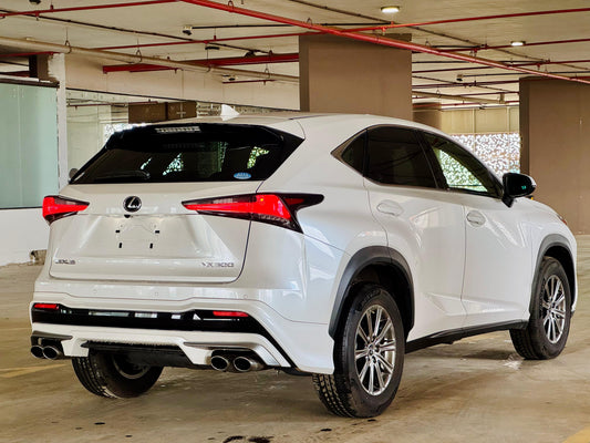 Lexus NX-300 | 2019 | 2000cc | White